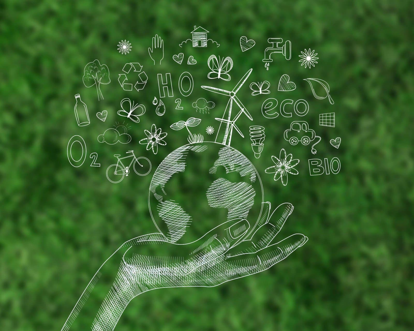 Système management environnemental